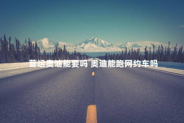 营运奥迪能要吗 奥迪能跑网约车吗